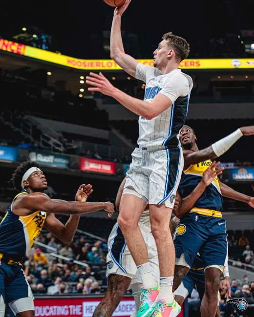 豪门提供了 豪门提供了